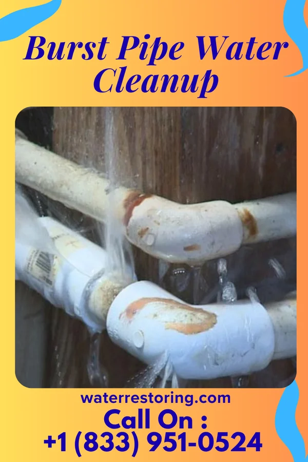 Burst Pipe Water Cleanup in Rayland, OH