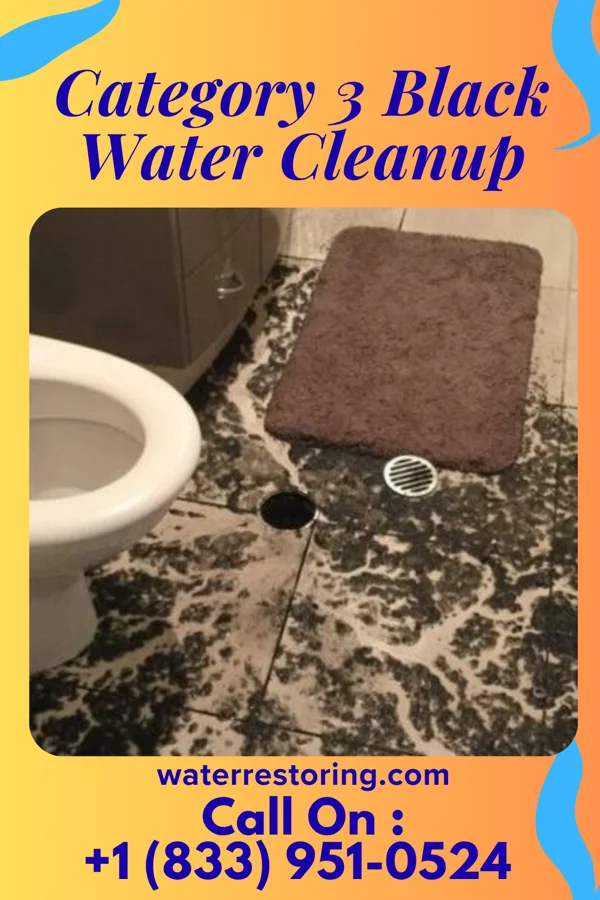Category 3 Black Water Cleanup in Rayland, OH