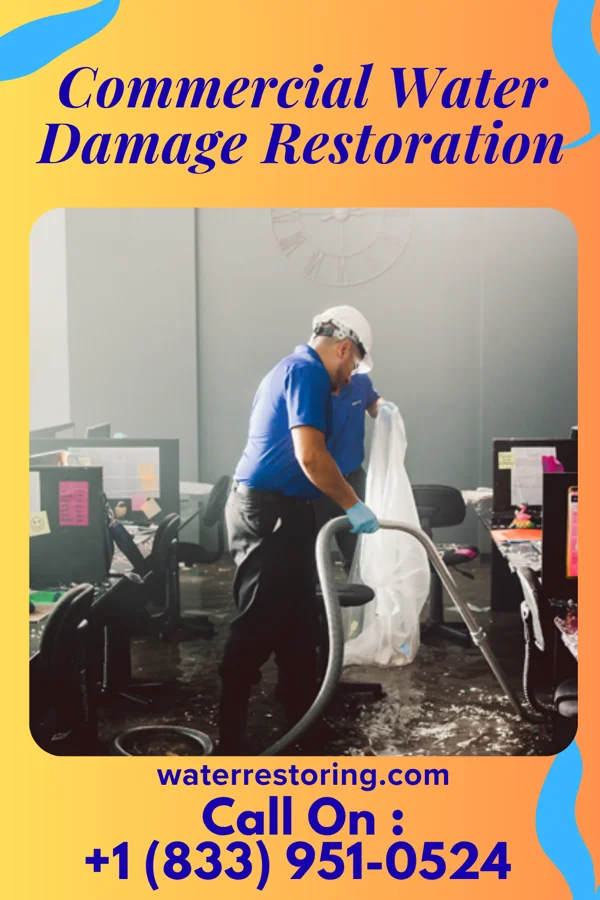 Commercial Water Damage Restoration in Rayland, OH