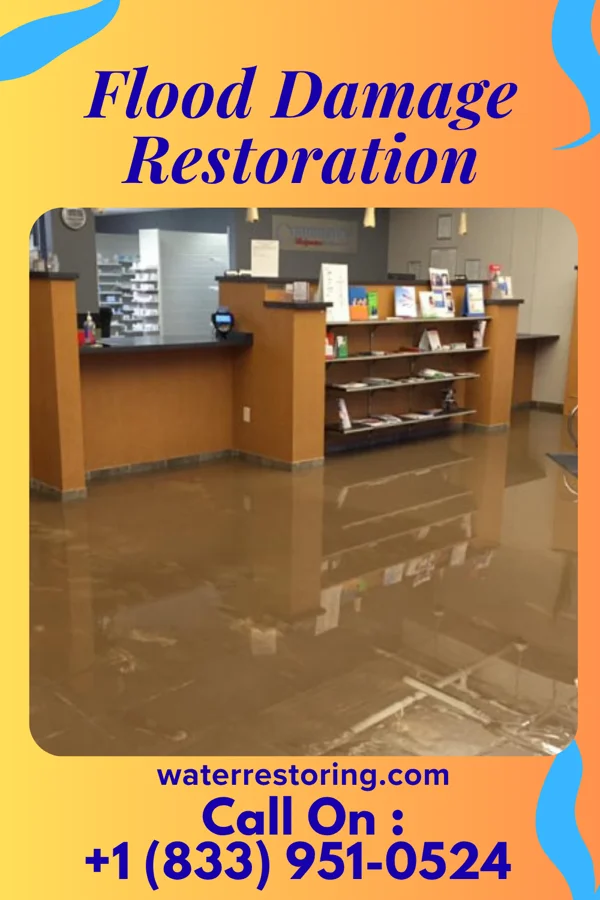 Flood Damage Restoration in Rayland, OH