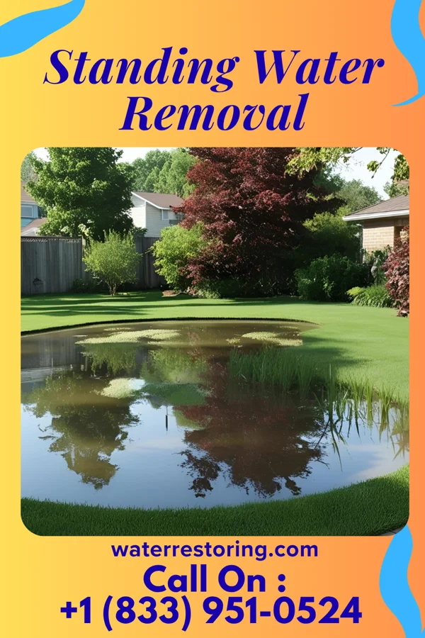 Standing Water Removal in Rayland, OH
